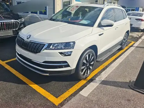 Skoda Karoq, 2020