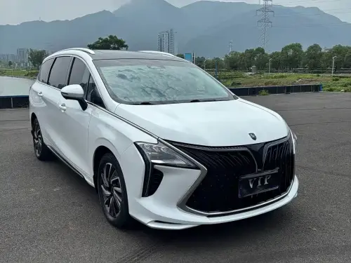 Dongfeng Youth, 2023