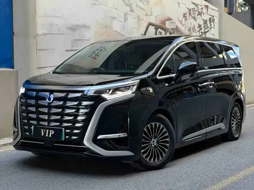 Denza D9, 2024