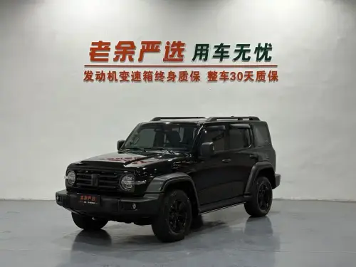 Tank 300, 2021