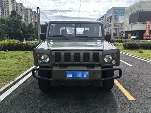 BAW Warrior Pickup, 2020