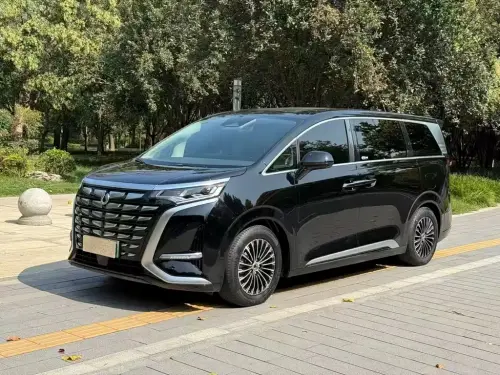 Denza D9, 2025