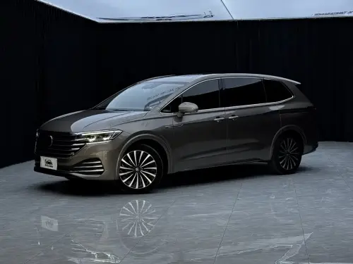 Volkswagen Viloran, 2020