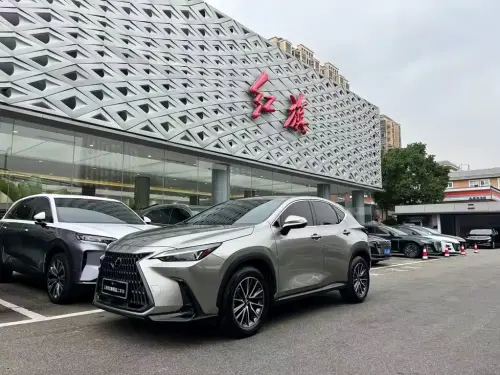 Lexus NX, 2022