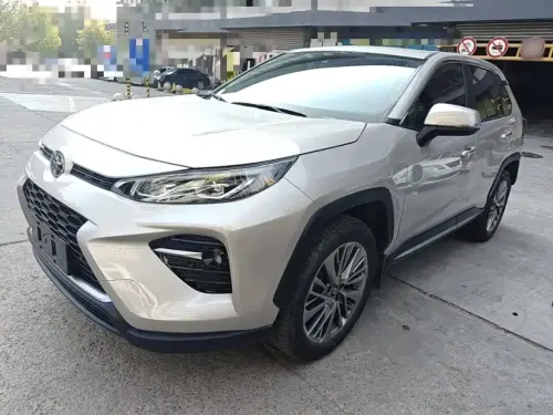 Toyota Wildlander, 2020