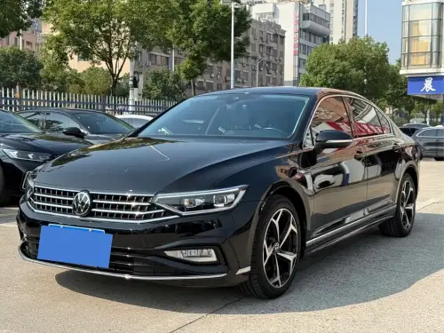 Volkswagen Magotan, 2024
