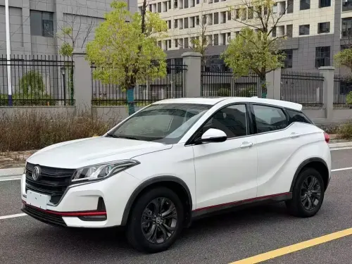 Dongfeng Fengguang 500, 2021