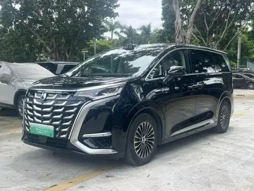 Denza D9, 2025