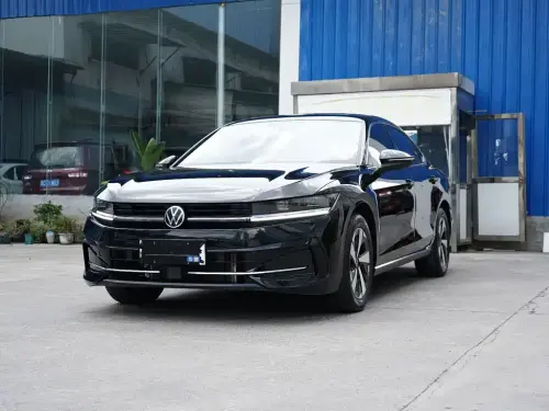 Volkswagen Magotan, 2024