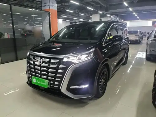 Denza D9, 2024