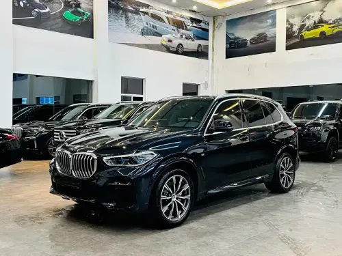 BMW X5, 2022