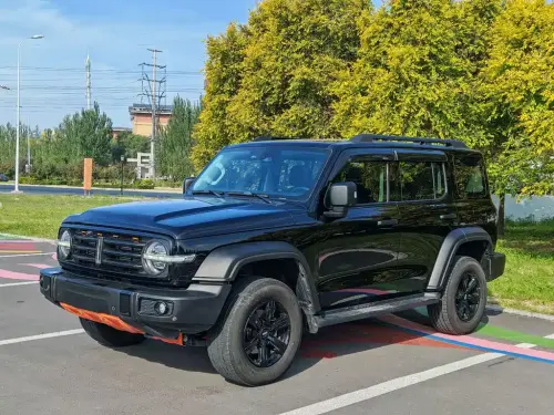 Tank 300, 2021