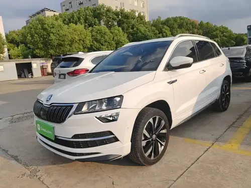 Skoda Karoq, 2024