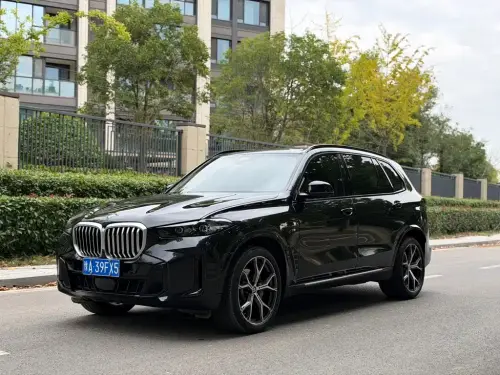 BMW X5, 2024