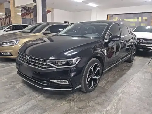 Volkswagen Magotan, 2024