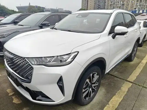 Haval H6, 2021