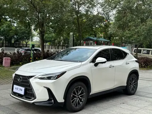 Lexus NX, 2022