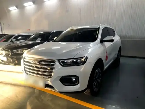Haval H6, 2020