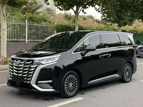 Denza D9, 2025