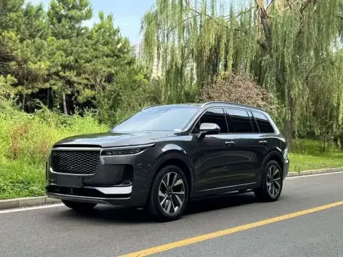 Li Auto ONE, 2021