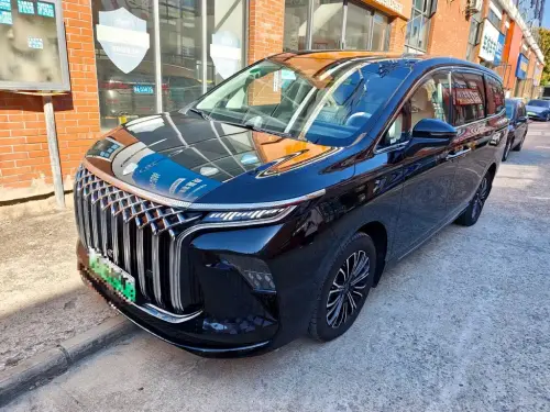 Dongfeng Xinghai V9, 2025