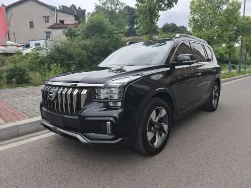 GAC GS8, 2020