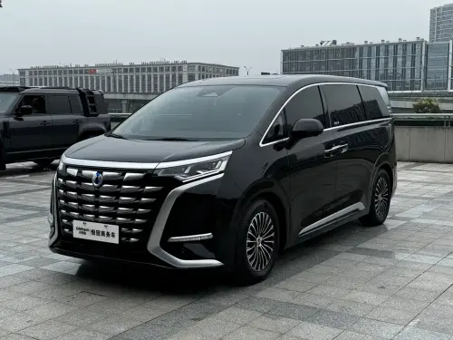 Denza D9, 2024