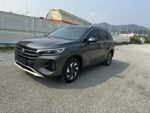 GAC GS4, 2020