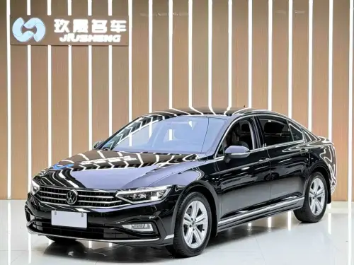 Volkswagen Magotan, 2024