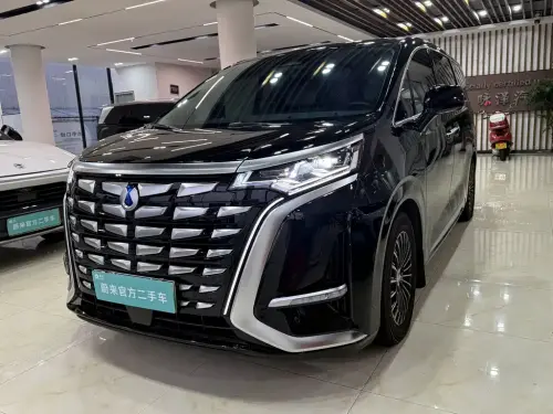 Denza D9, 2024