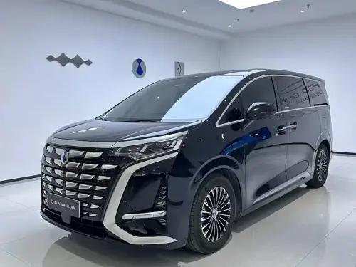 Denza D9, 2024