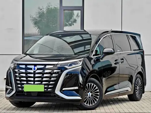 Denza D9, 2025