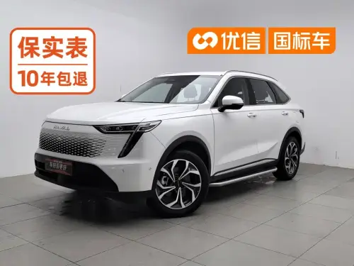 Haval Xiaolong MAX, 2023