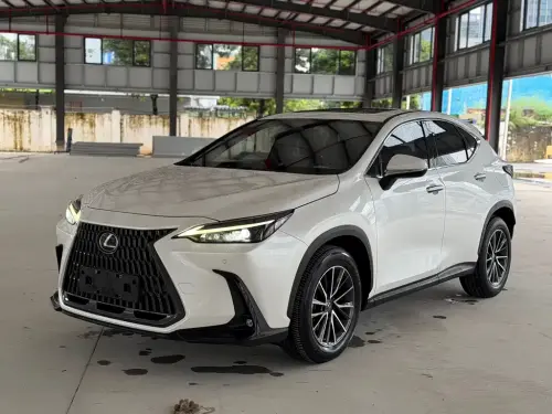 Lexus NX, 2021