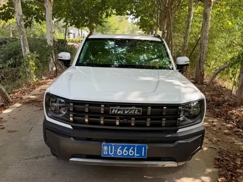 Haval Cool Dog, 2022