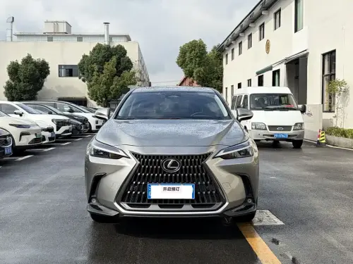 Lexus NX, 2022
