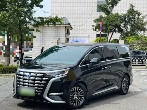 Denza D9, 2023