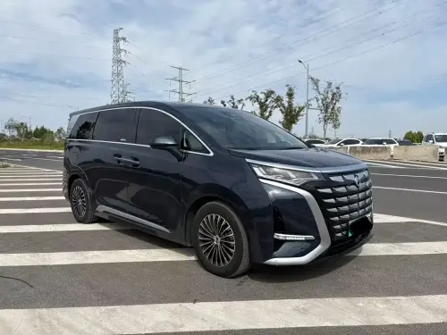 Denza D9, 2025