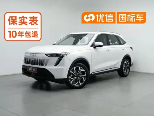 Haval Xiaolong MAX, 2023