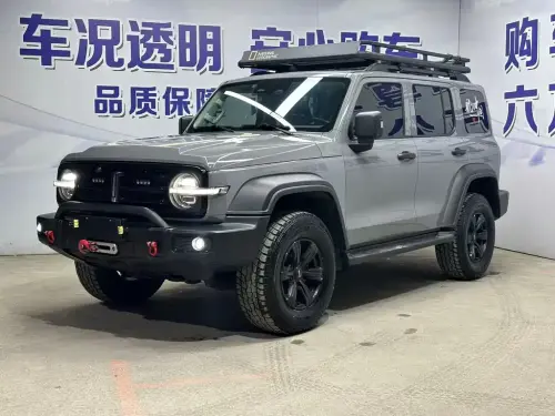 Tank 300, 2021