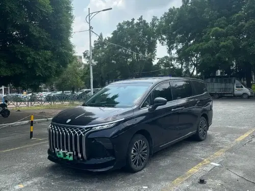 Dongfeng Xinghai V9, 2024