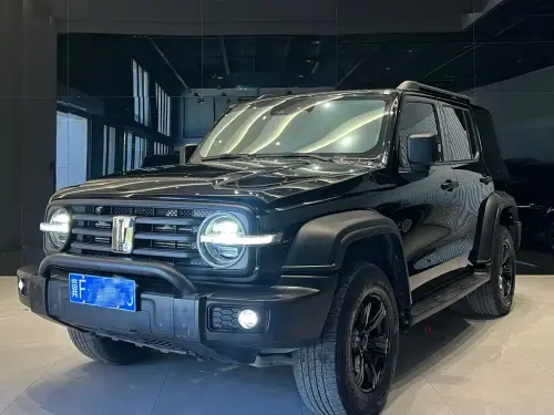 Tank 300, 2021