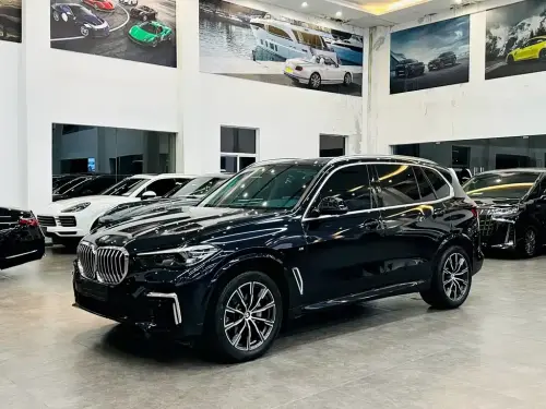 BMW X5, 2023