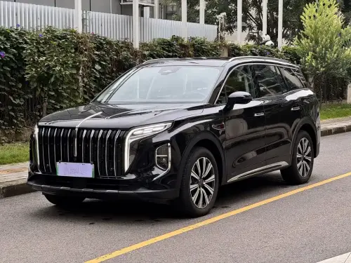 Hongqi HS7, 2025