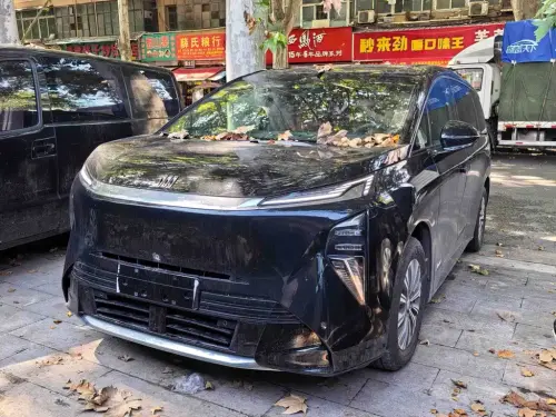 Buick Zhijing Shijia, 2026