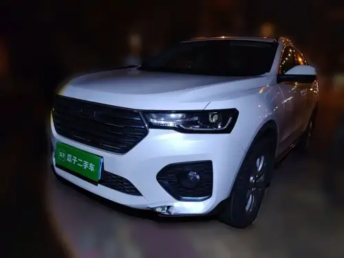 Haval H4, 2020
