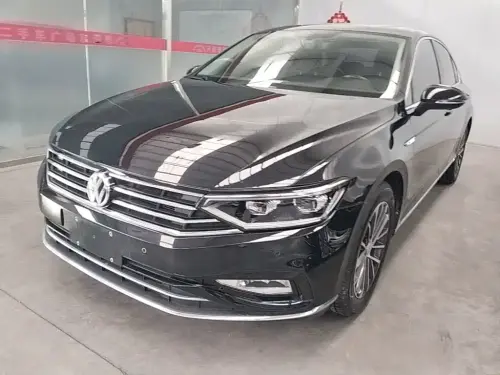 Volkswagen Magotan, 2020