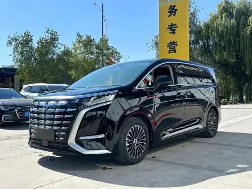 Denza D9, 2024