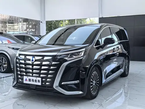 Denza D9, 2024
