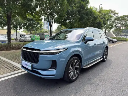 Li Auto ONE, 2021